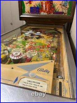 1968 Bally Pinball Machine 2 Player Safari- 50% OFF