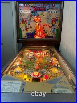 1968 Bally Pinball Machine 2 Player Safari- 50% OFF