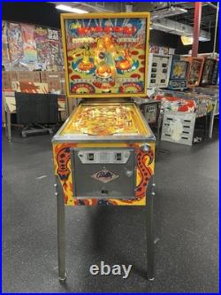 1975 Wizard Wizard! Pinball Machine Fully Refurbished The Who Tommy Daltry Leds