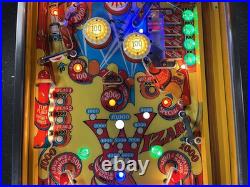 1975 Wizard Wizard! Pinball Machine Fully Refurbished The Who Tommy Daltry Leds