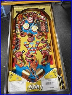 1975 Wizard Wizard! Pinball Machine Fully Refurbished The Who Tommy Daltry Leds