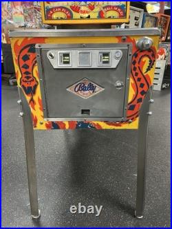 1975 Wizard Wizard! Pinball Machine Fully Refurbished The Who Tommy Daltry Leds