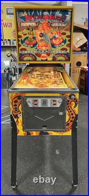 1975 Wizard Wizard! Pinball Machine Fully Refurbished Tommy Daltrey The Who