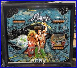 1978 Flash Pinball Machine Professional Techs Leds 8 Drop Targets 1978 Flash Pinball Machine Professional Techs Leds 8 Drop Targets