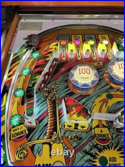 1978 Gottlieb Sinbad Pinball Machine Prof Techs Plays Great Fully Refurbished