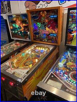 1978 Sinbad Pinball Machine by Gottlieb