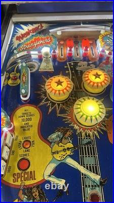 1978 Stern Ted Nugent Pinball Machine Plays Great