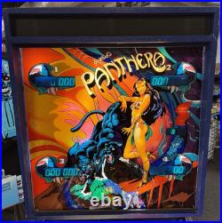 1980 Gottlieb Panthera Pinball Machine Professional Techs 8 Drop Targets