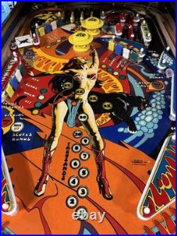 1980 Gottlieb Panthera Pinball Machine Professional Techs 8 Drop Targets