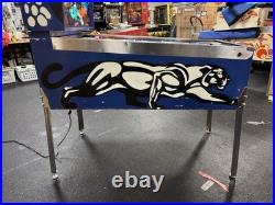 1980 Gottlieb Panthera Pinball Machine Professional Techs 8 Drop Targets