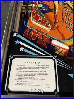 1980 Gottlieb Panthera Pinball Machine Professional Techs 8 Drop Targets