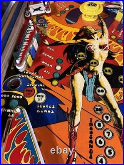 1980 Gottlieb Panthera Pinball Machine Professional Techs 8 Drop Targets