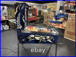 1980 Gottlieb Panthera Pinball Machine Professional Techs 8 Drop Targets