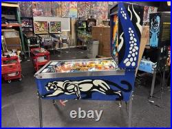 1980 Gottlieb Panthera Pinball Machine Professional Techs 8 Drop Targets