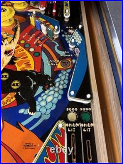 1980 Gottlieb Panthera Pinball Machine Professional Techs 8 Drop Targets