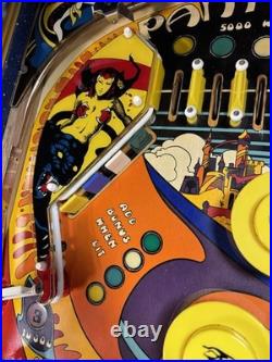 1980 Gottlieb Panthera Pinball Machine Professional Techs 8 Drop Targets