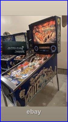 1993 Williams White Water Pinball Machine WILL SHIP
