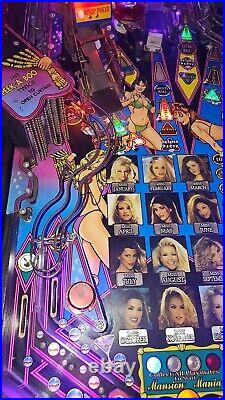 2002 Stern Playboy Pinball