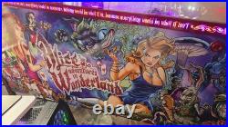 Alice's adventures in wonderland Dutch Pinball #141 Of 500 LIMITED EDITION