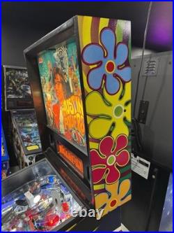 Austin Powers Pinball Machine Stern Orange County Pinballs FREE SHIPPING