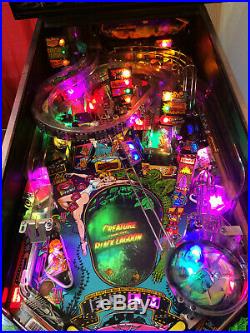 BALLY/Midway CREATURE From The BLACK LAGOON Pinball Machine Mike D Mod and LED's