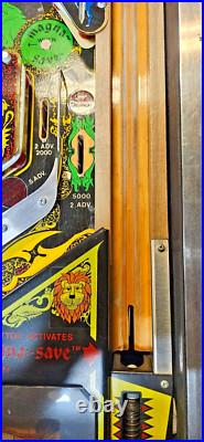 BLACK KNIGHT Pinball Machine Williams 1980 2784 BLACK KNIGHT Pinball Machine Williams 1980 2784