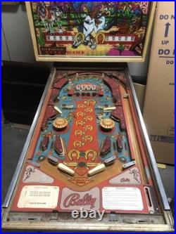 Bally Flip Flip Pinball Machine Working PROJECT