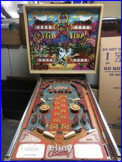 Bally Flip Flip Pinball Machine Working PROJECT
