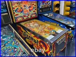 Bally Wizard Pinball Machine Superb cabinet, back-glass and playfield