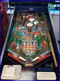 Big House by Gottlieb Pinball Machine