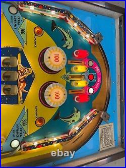 CUTE 1974 Chicago Coin SHOWTIME pinball machine Shopped LED'ed FREE SHIPPING