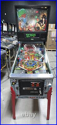 Elvira's Scared Stiff Pinball Machine By Bally 1996 LEDs ColorDMD Autographed