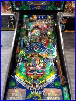 Fish Tales by Williams Pinball Machine