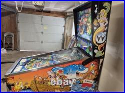 Fishtales Pinball Machine