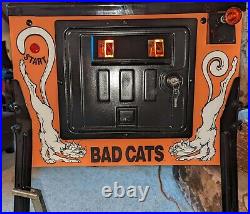 Fully Restored Williams Bad Cats Pinball Machine