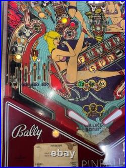 Future Spa Pinball machine Bally 1979 Orange County Pinballs FREE SHIPPING