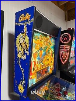 Gilligan's Island Pinball LEDs