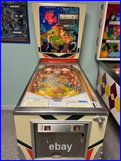 Gottlieb & Co SureShot Pinball Machine 1975