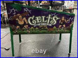 Haggis Celts Pinball Machine Only 200 Produced Super Duper Rare