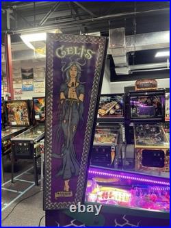 Haggis Celts Pinball Machine Only 200 Produced Super Duper Rare
