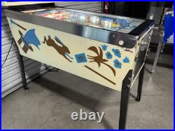 Hokus Pokus Pinball Machine By Bally 1975 FREE SHIPPING Orange County Pinballs