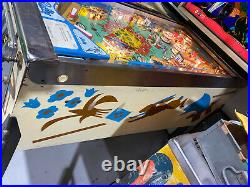 Hokus Pokus Pinball Machine Coin Op Bally 1975 Free Shipping