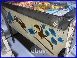 Hokus Pokus Pinball Machine Coin Op Bally 1975 Free Shipping