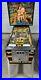 Jungle-Lord-Pinball-Machine-Williams-1981-LEDS-Free-Ship-Orange-County-Pinballs-01-jk