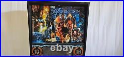 Mary Shelley's Frankenstein 1995 SEGA 2813