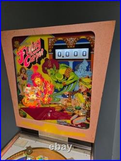 NICE 1972 Gottlieb FLYING CARPET pinball machine Shopped LED'ed FREE SHIPPING