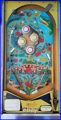 Nip-It Pinball Machine (Bally) 1973