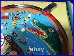 Nip-It Pinball Machine by Bally