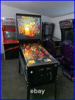 Party Animal Pinball HUO Collector Quality