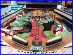 Pat Hand Pinball Machine by Williams